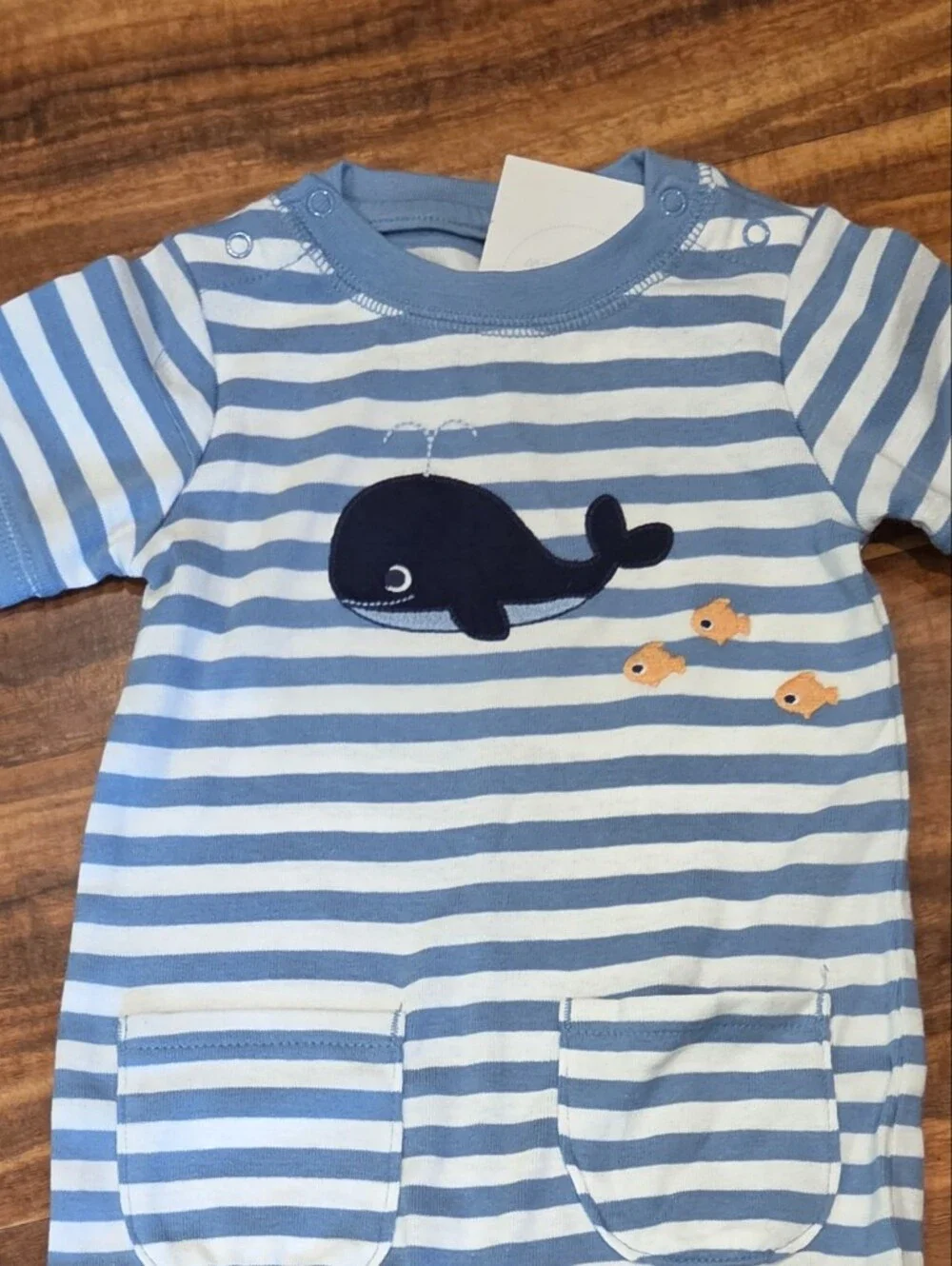 Gymboree nwt months
